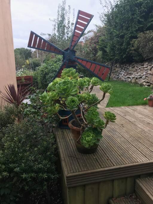Bumble Bee Cottage Plymouth Exterior foto